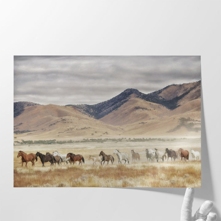 Horse Run II - Canvas Print Wall Art