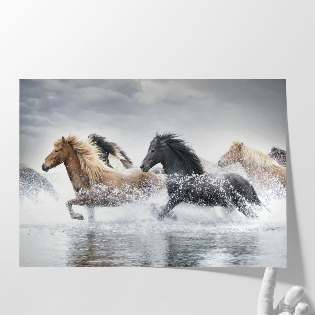 Horse Run V - Canvas Print Wall Art