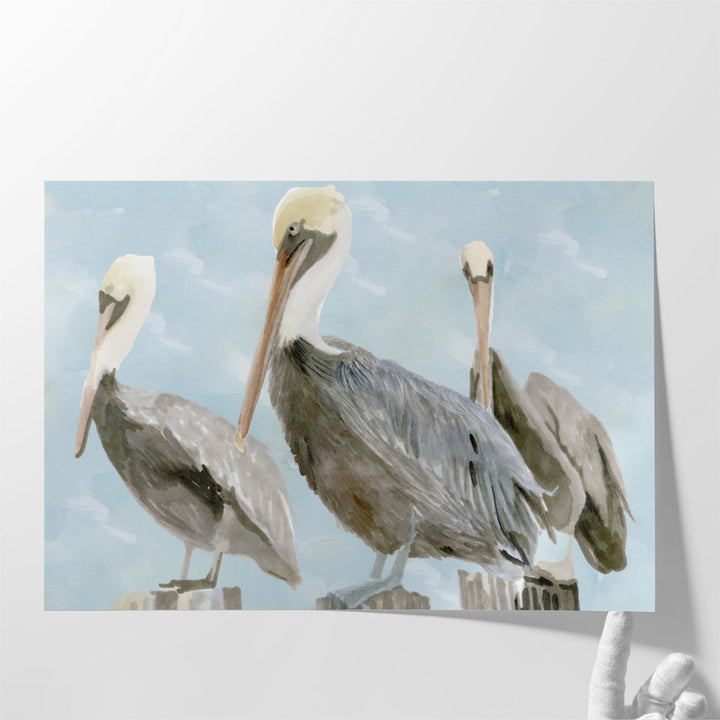 Soft Brown Pelican III - Canvas Print Wall Art