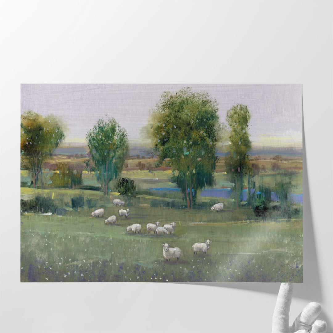 Field Of Sheep I - Canvas Print Wall Art