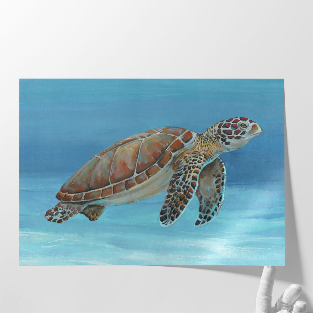 Ocean Sea Turtle I - Canvas Print Wall Art