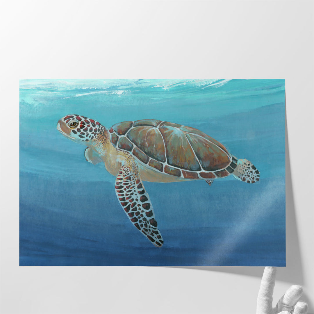 Ocean Sea Turtle II - Canvas Print Wall Art