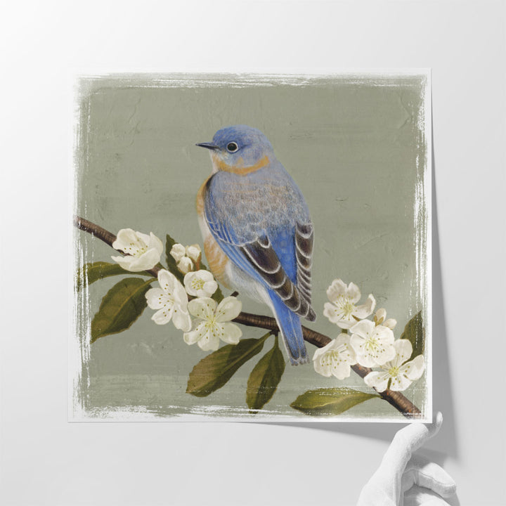 Bluebird Branch II- Canvas Print Wall Art