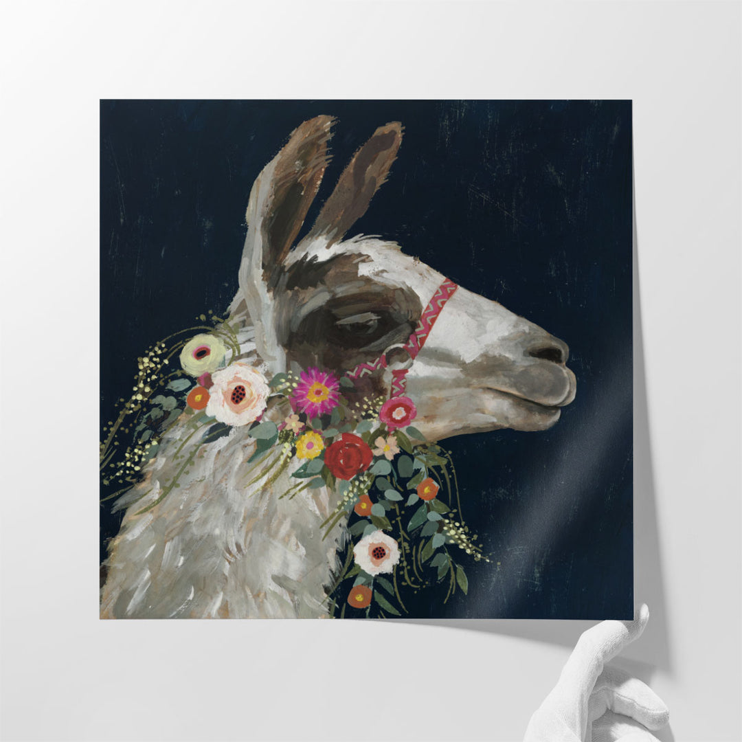 Lovely Llama I - Canvas Print Wall Art