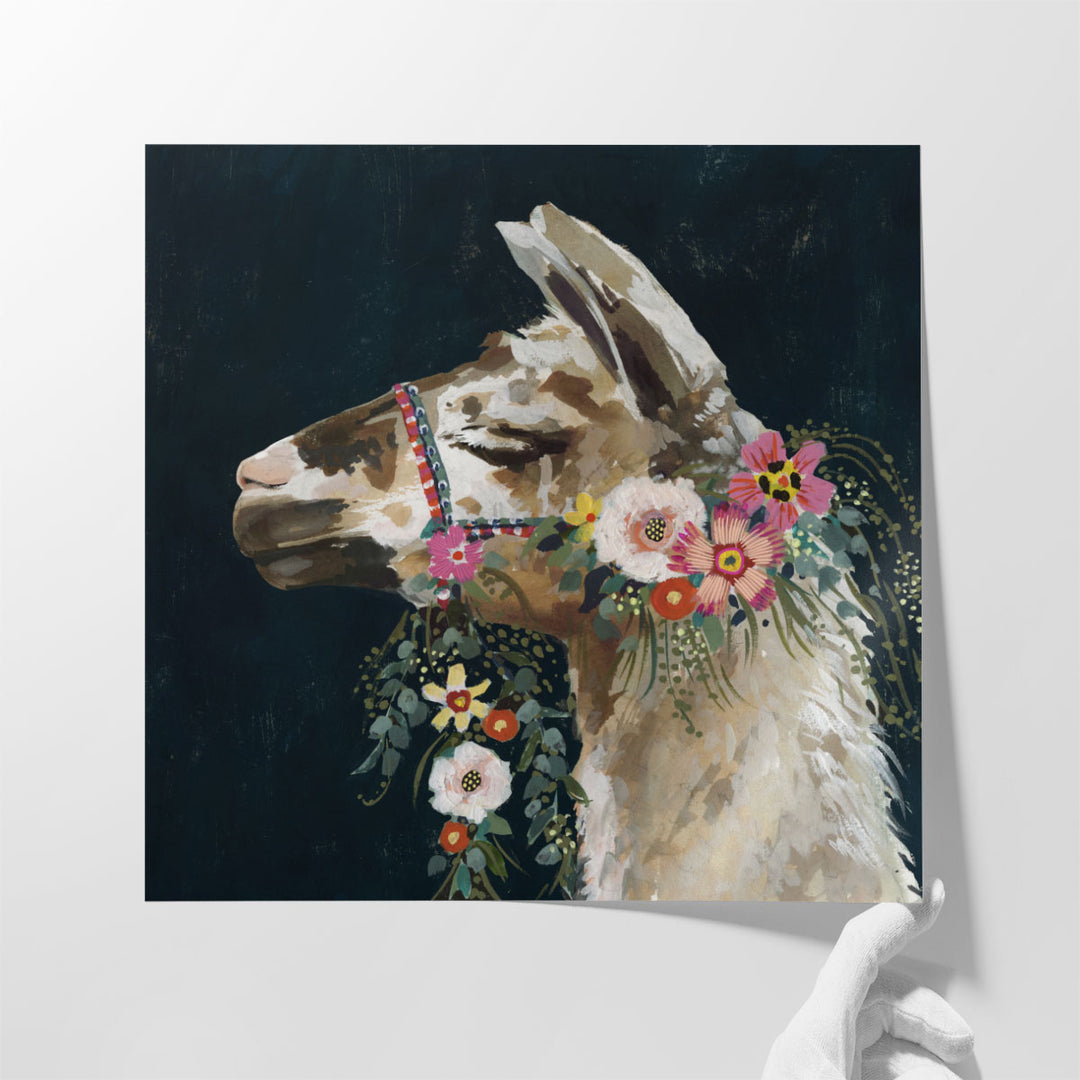 Lovely Llama II - Canvas Print Wall Art