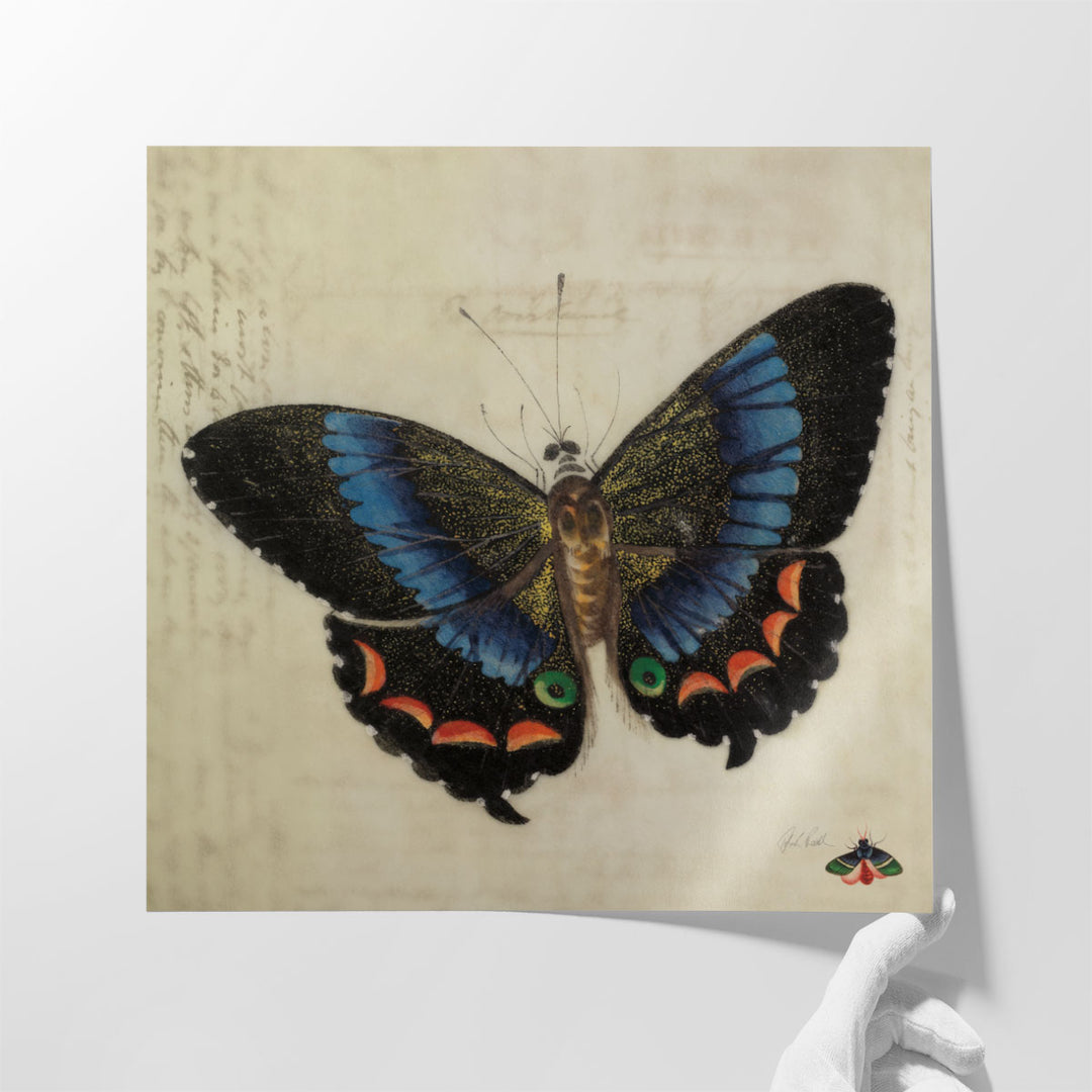 Vintage Blue Butterfly - Canvas Print Wall Art