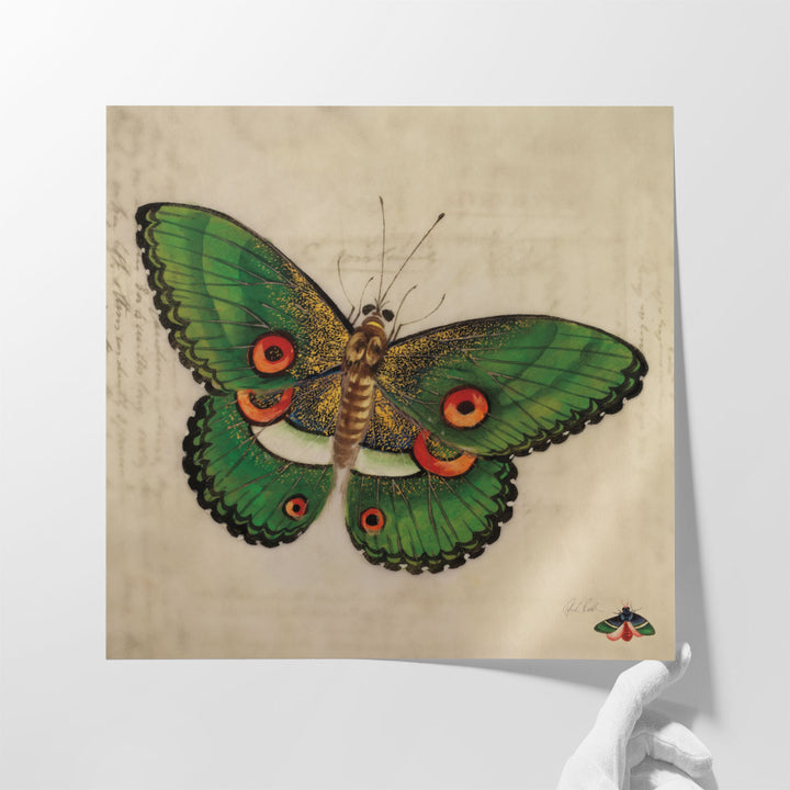 Vintage Green Butterfly - Canvas Print Wall Art