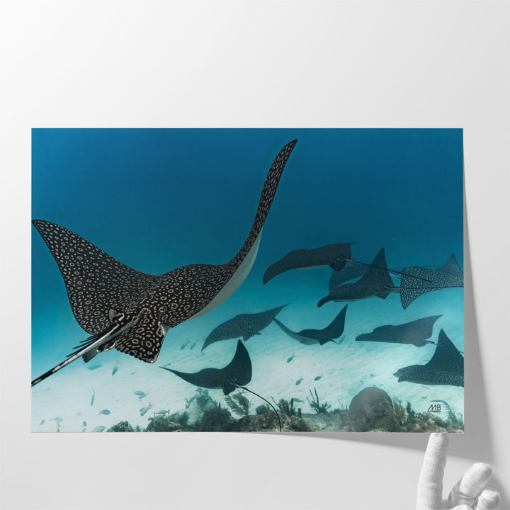 Ray Day I - Canvas Print Wall Art