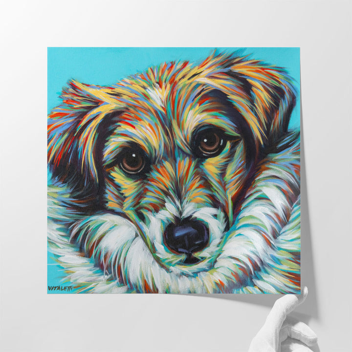 Island Dog I - Canvas Print Wall Art