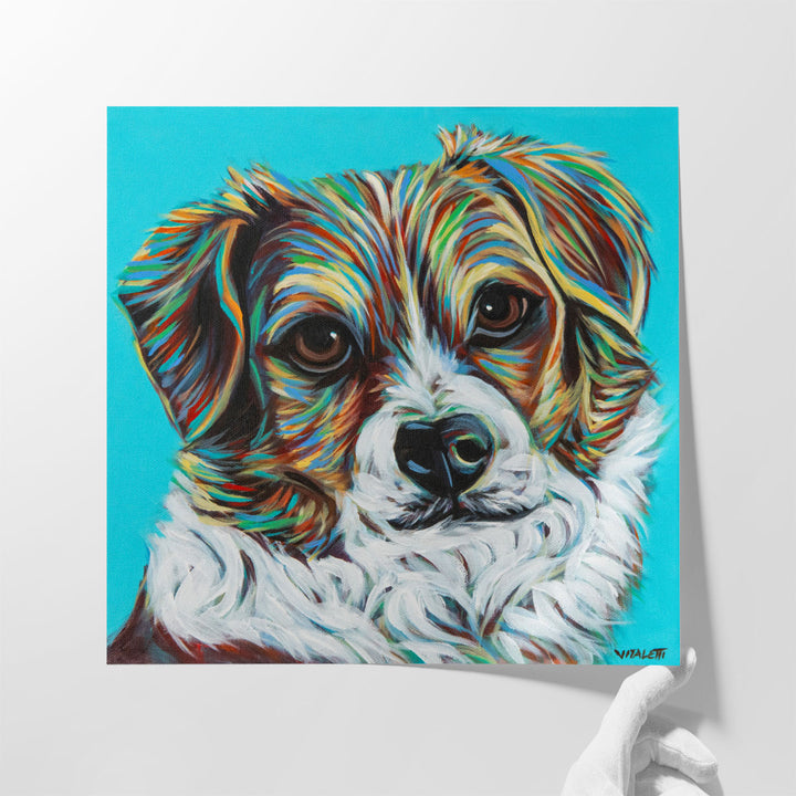 Island Dog II - Canvas Print Wall Art