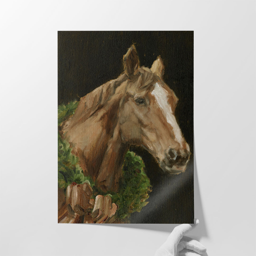 Holiday Horse I - Canvas Print Wall Art