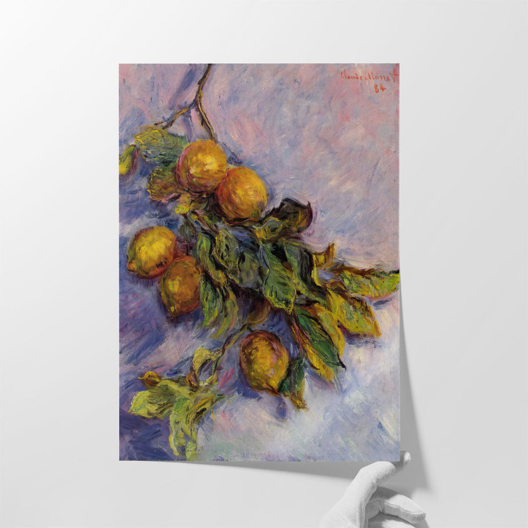 Branch of Lemons, 1884 - Canvas Print Wall Art