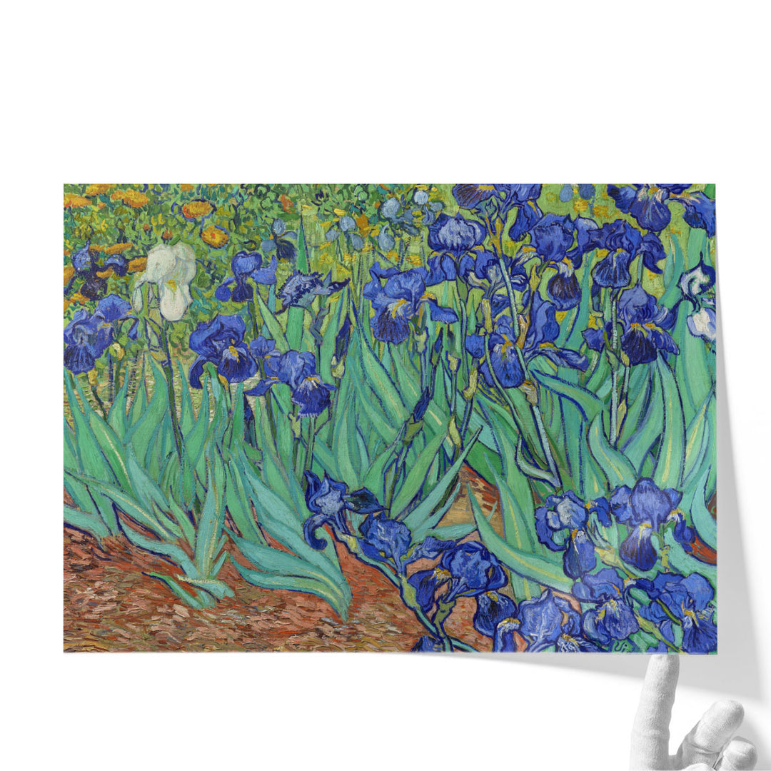 Irises, 1889 - Canvas Print Wall Art
