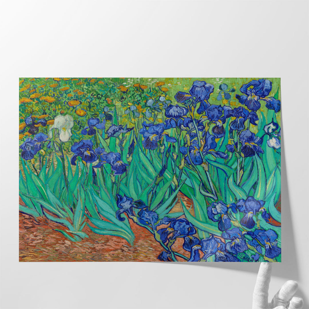 Irises, 1889 - Canvas Print Wall Art