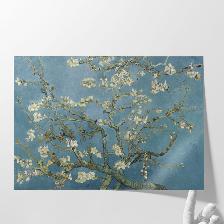 Almond Blossom, 1890 - Canvas Print Wall Art