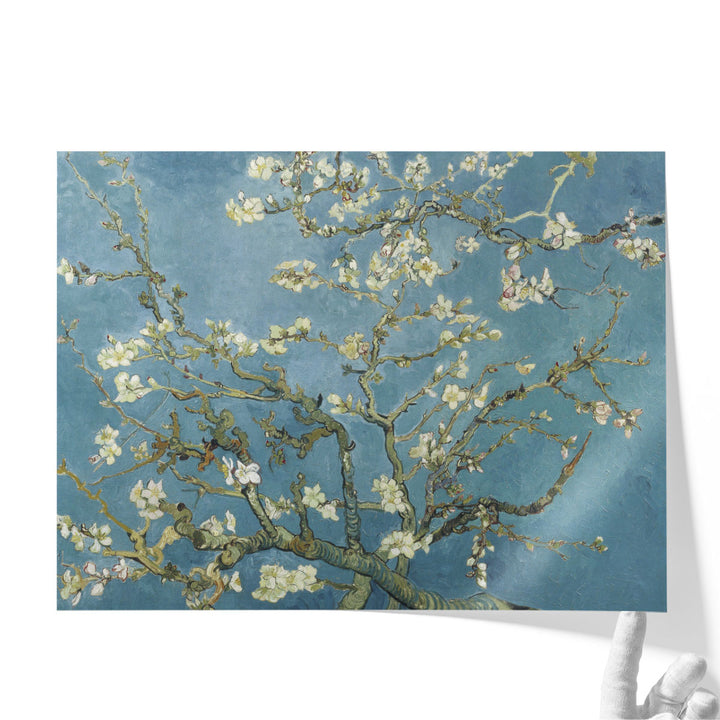 Almond Blossom, 1890 - Canvas Print Wall Art