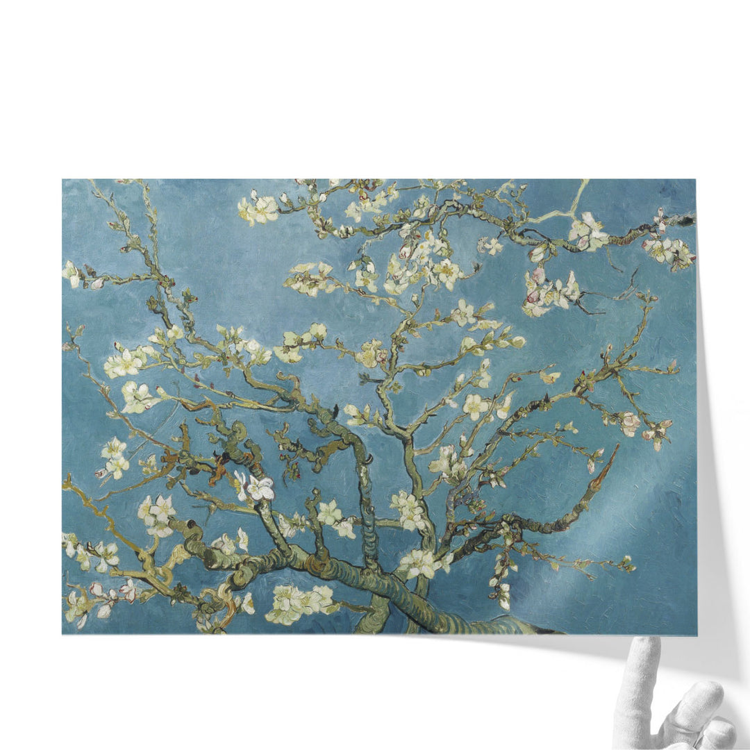 Almond Blossom, 1890 - Canvas Print Wall Art