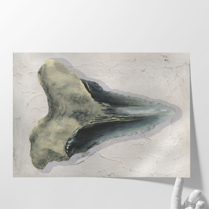 Watercolor Sharks Tooth III - Canvas Print Wall Art