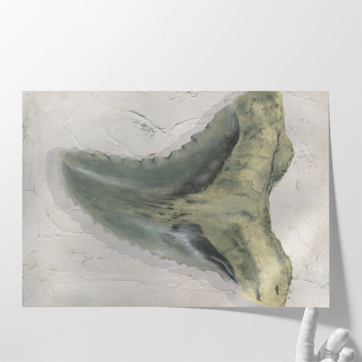 Watercolor Sharks Tooth IV - Canvas Print Wall Art