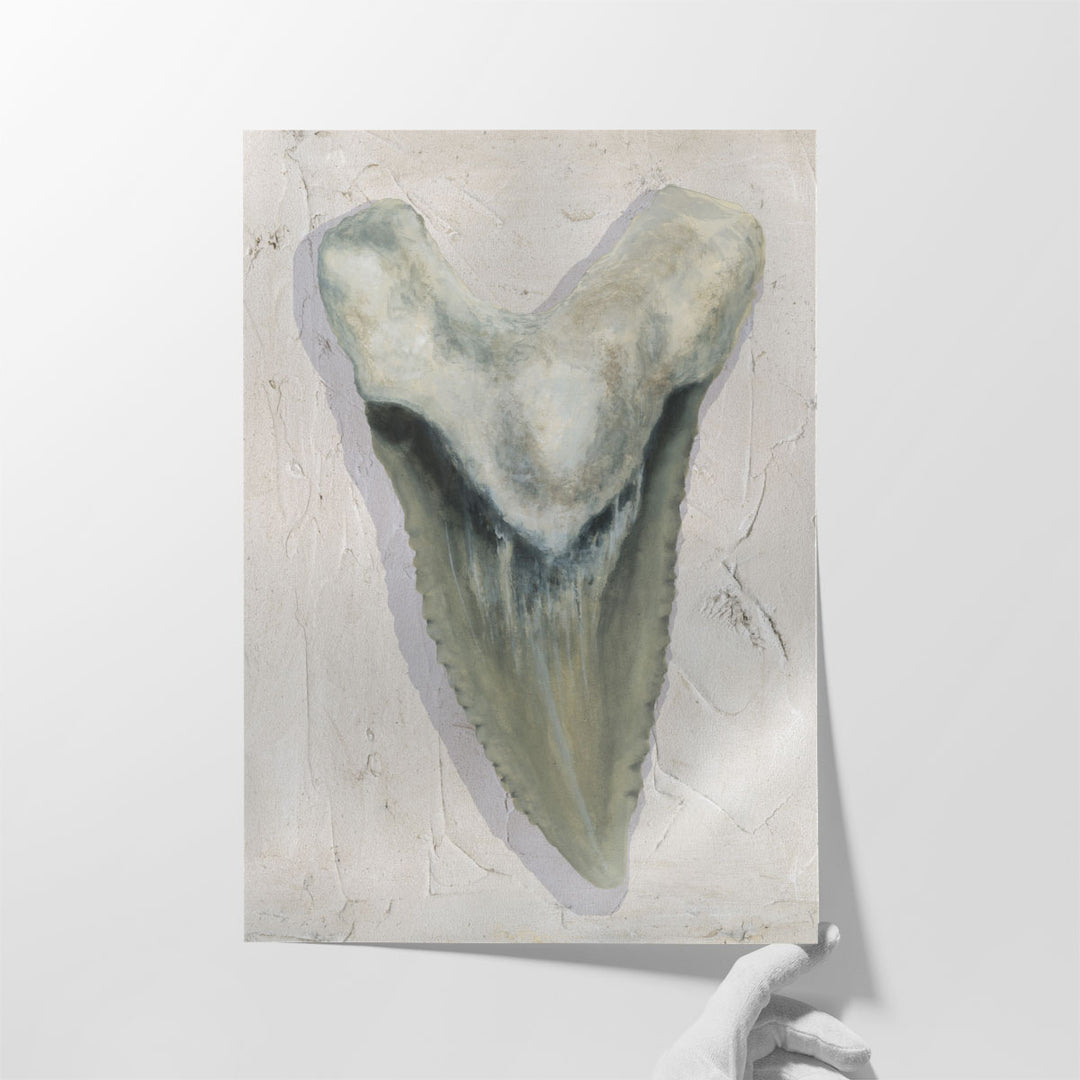 Watercolor Sharks Tooth II - Canvas Print Wall Art