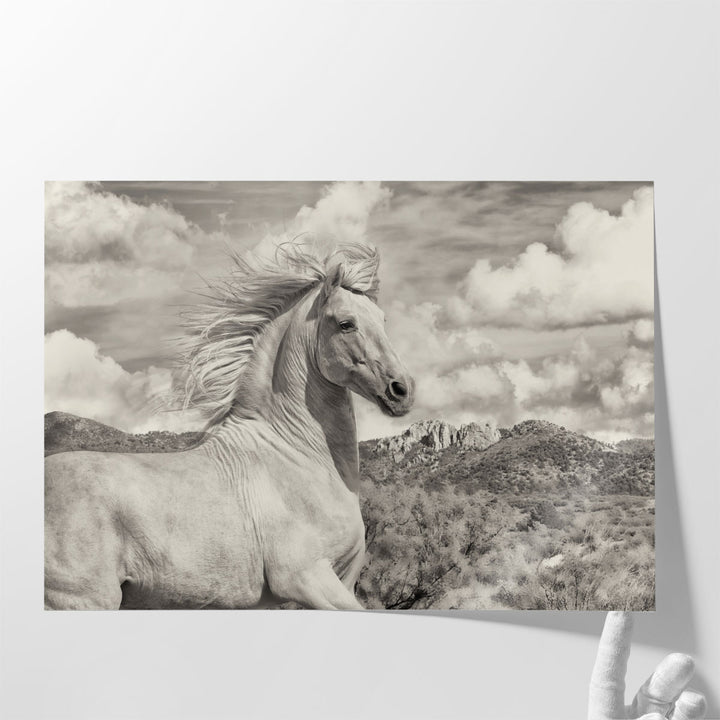 Free to Run - Canvas Print Wall Art