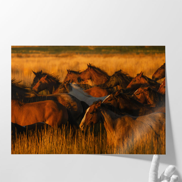 Golden Light - Canvas Print Wall Art