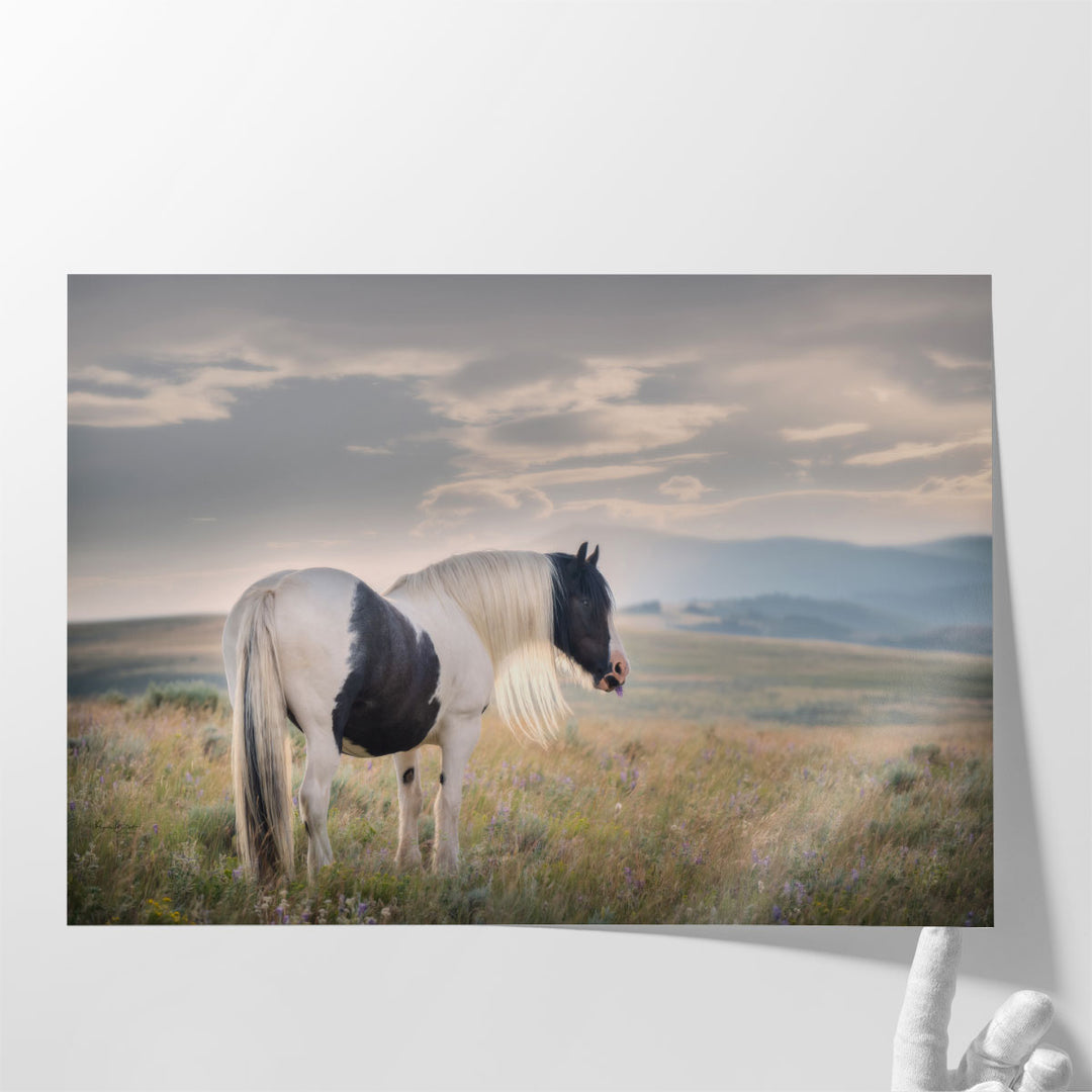 Gypsy Beauty - Canvas Print Wall Art