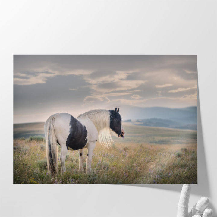 Gypsy Beauty - Canvas Print Wall Art