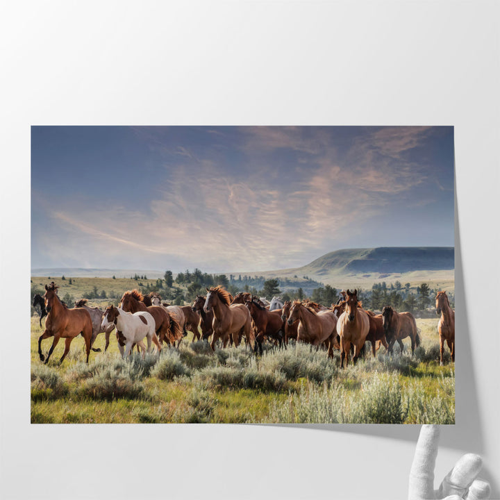 Montana Ranch Horses - Canvas Print Wall Art