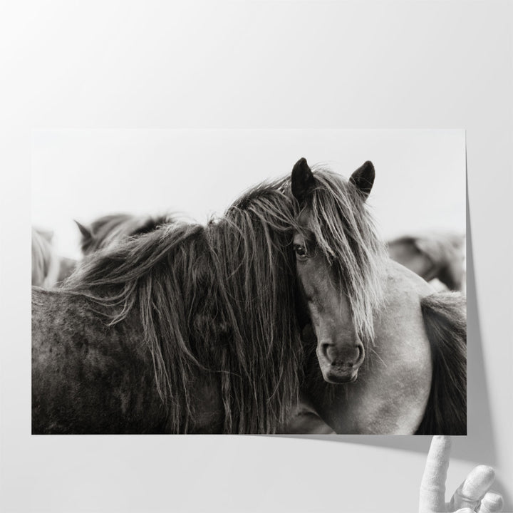 Stand Alone - Canvas Print Wall Art