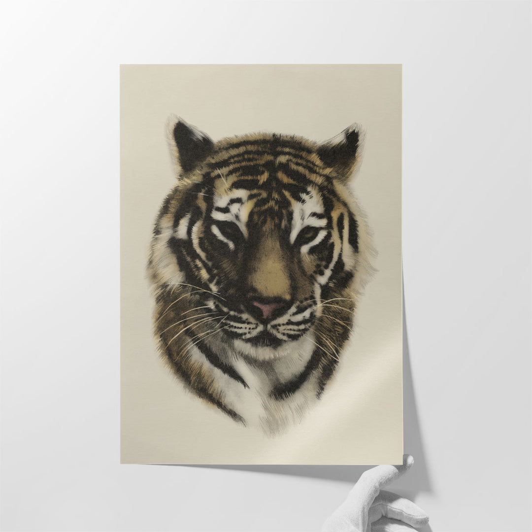 Antique Tiger Portrait I - Canvas Print Wall Art