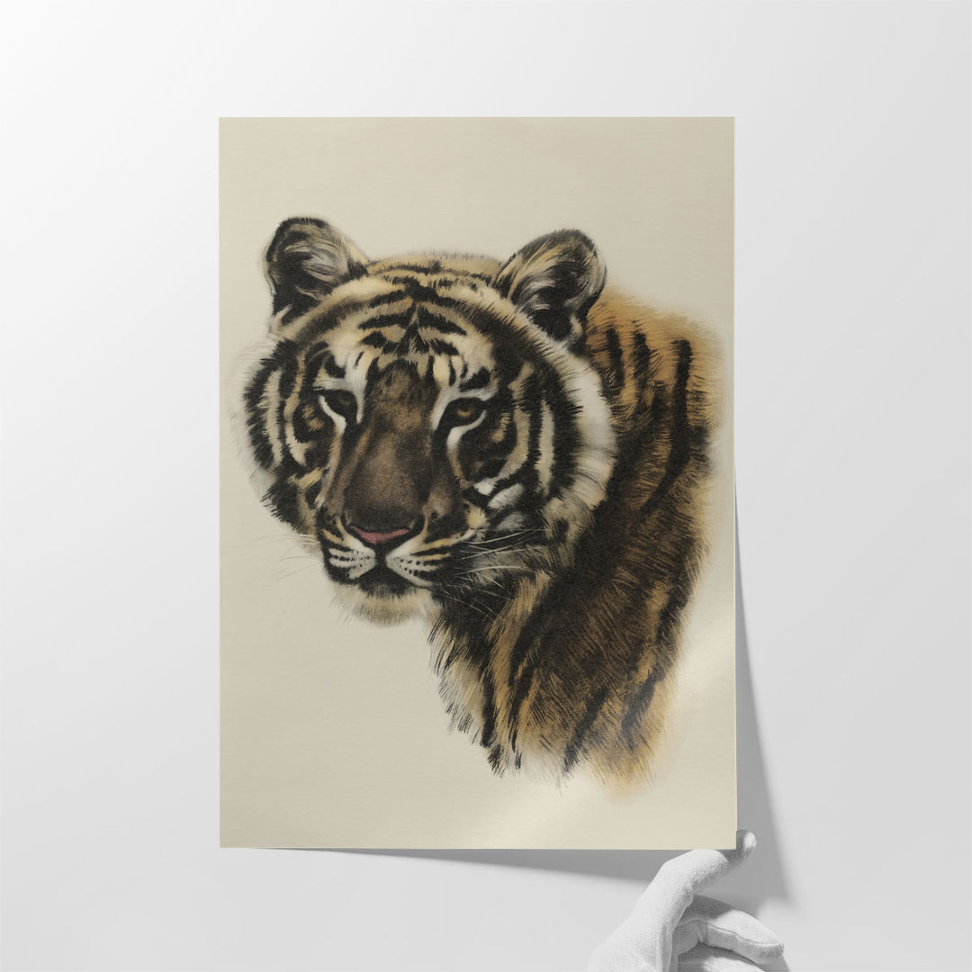 Antique Tiger Portrait II - Canvas Print Wall Art