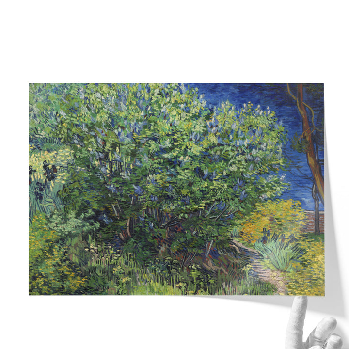 Lilac Bush, 1889 - Canvas Print Wall Art