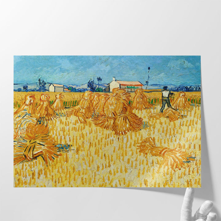 Harvest in Provence, 1888 - Canvas Print Wall Art