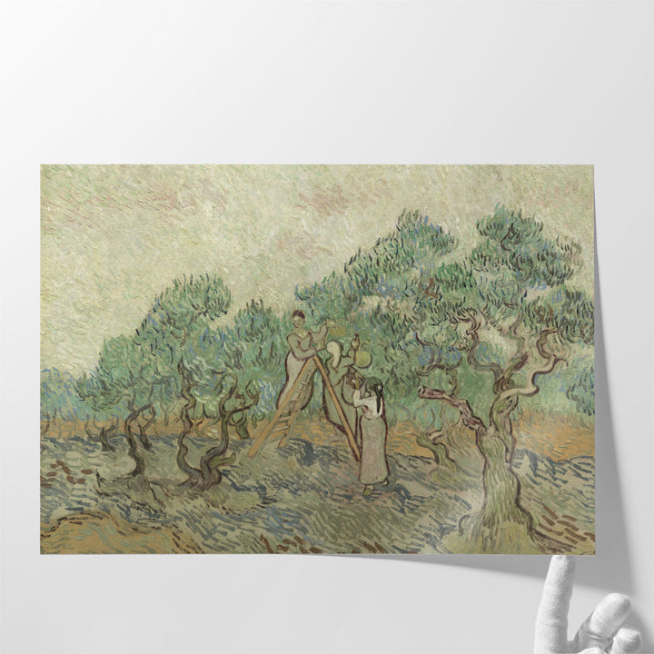 The Olive Orchard, 1889 - Canvas Print Wall Art