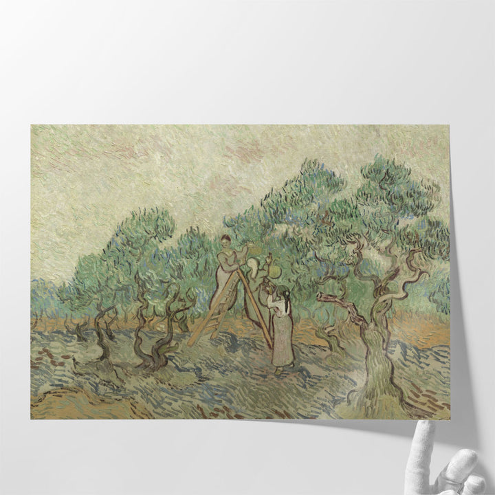 The Olive Orchard, 1889 - Canvas Print Wall Art