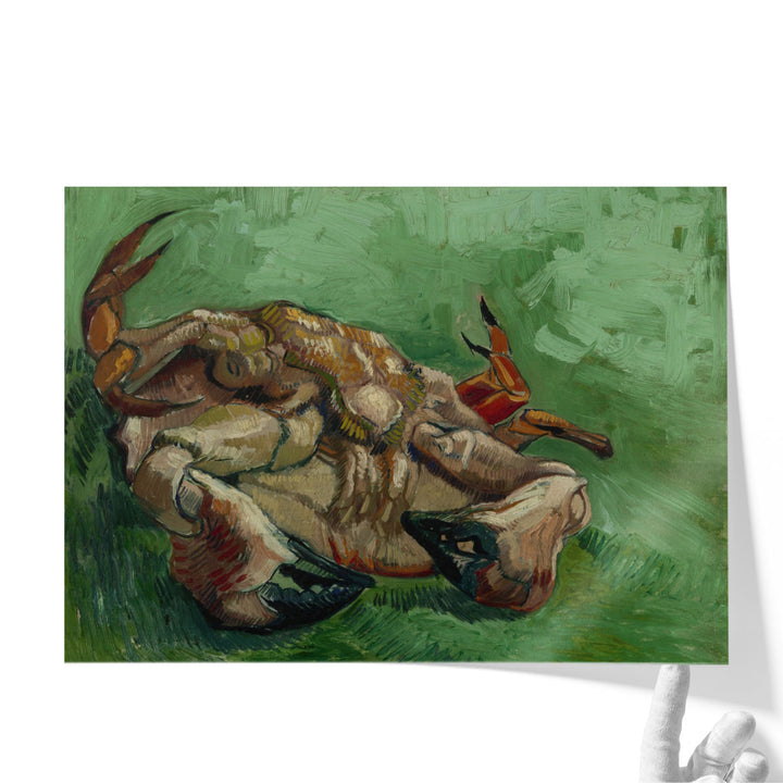 Crab on its Back, 1888 - Canvas Print Wall Art