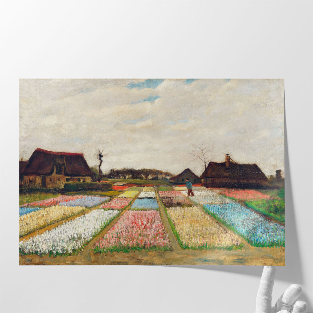 Flower Beds in Holland, 1883 - Canvas Print Wall Art