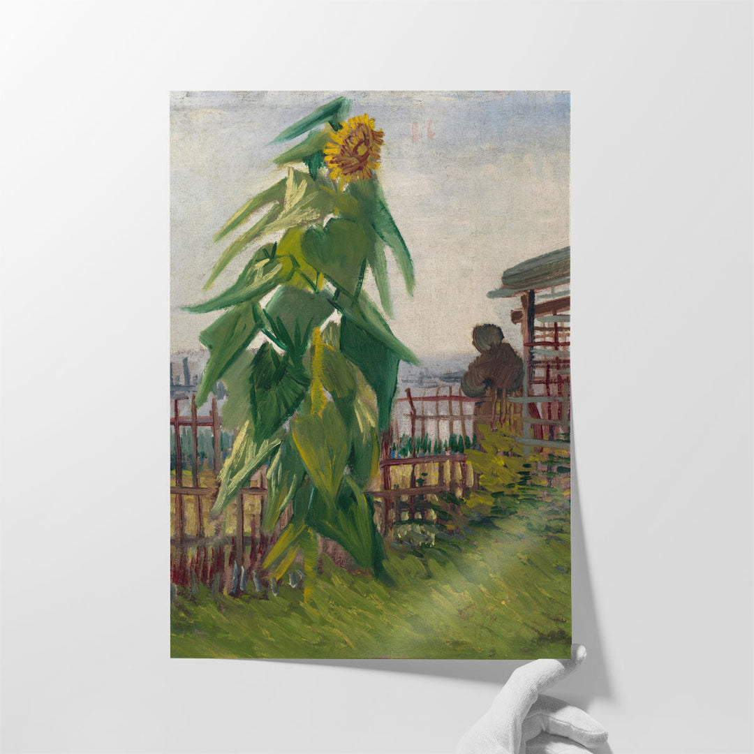 Allotment with Sunflower, 1887 - Canvas Print Wall Art