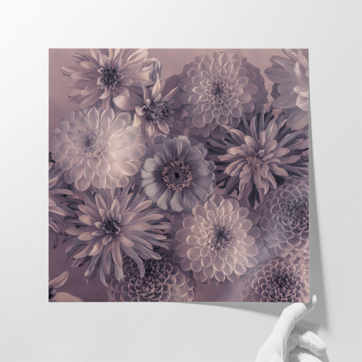 Full Frame of Mixed Flowers - Canvas Print Wall Art