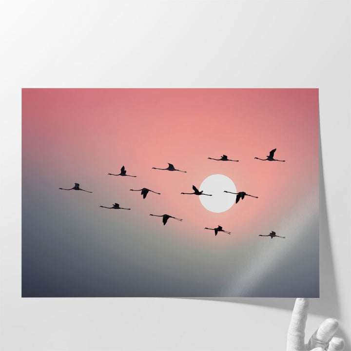 Flock of Flamingos Flying in Sky during Sunset - Canvas Print Wall Art