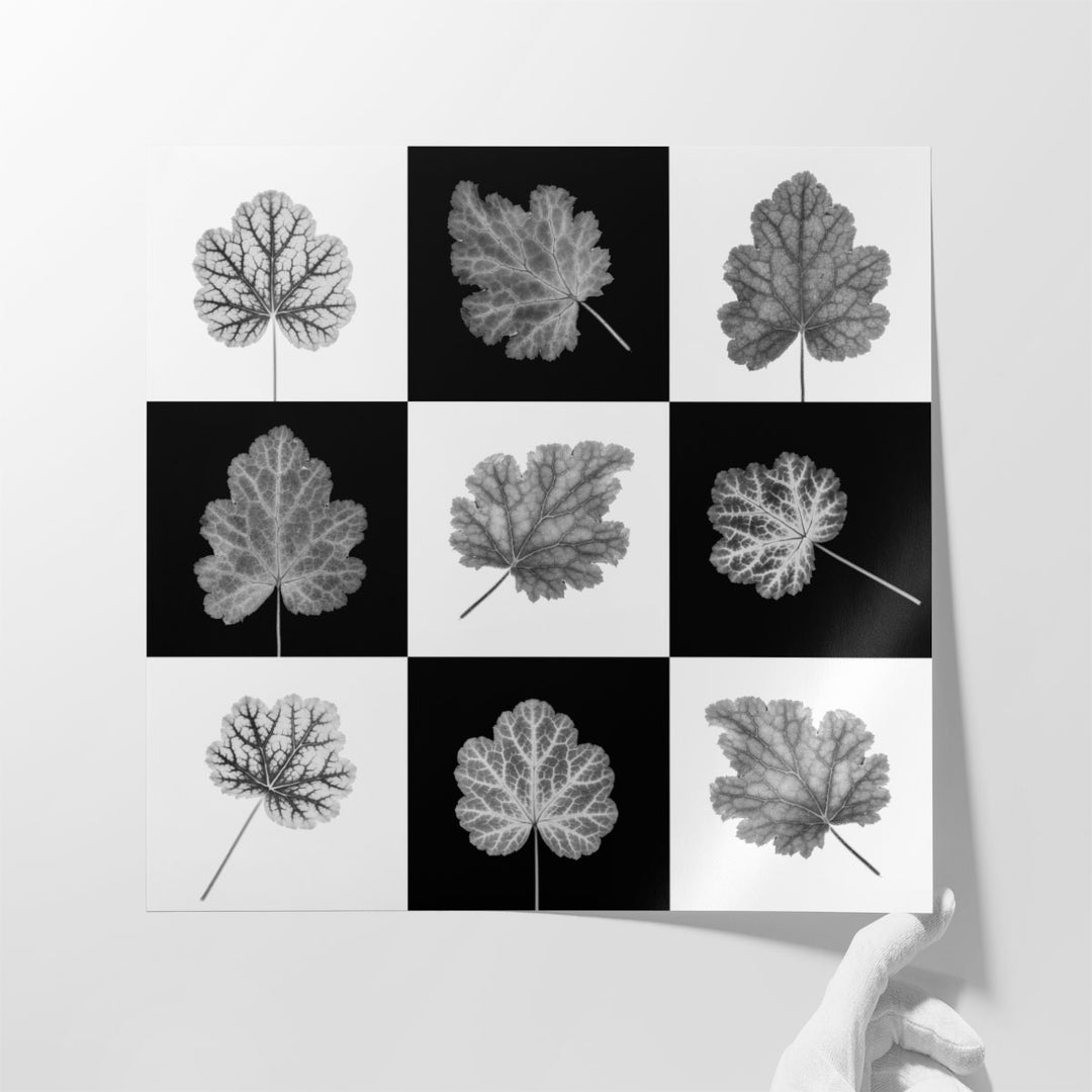 Heuchera Leaf Collage - Canvas Print Wall Art