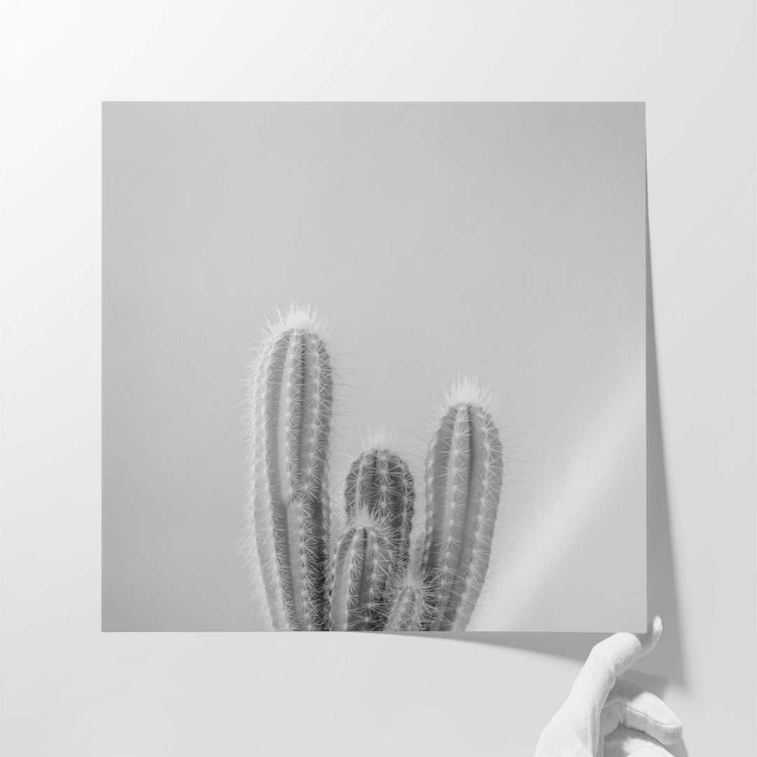 Micranthocereus Estevesii Cactus - Canvas Print Wall Art