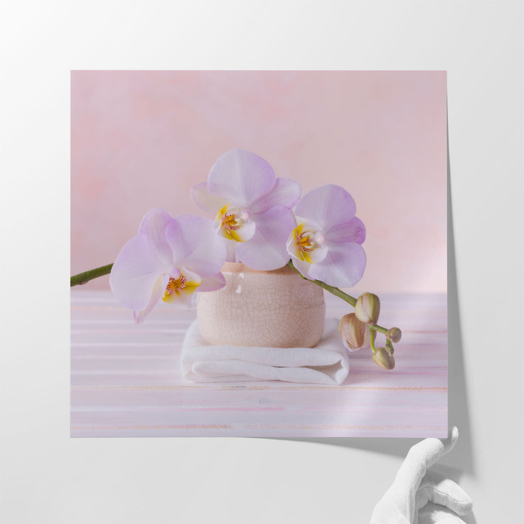 Orchids 2 - Canvas Print Wall Art