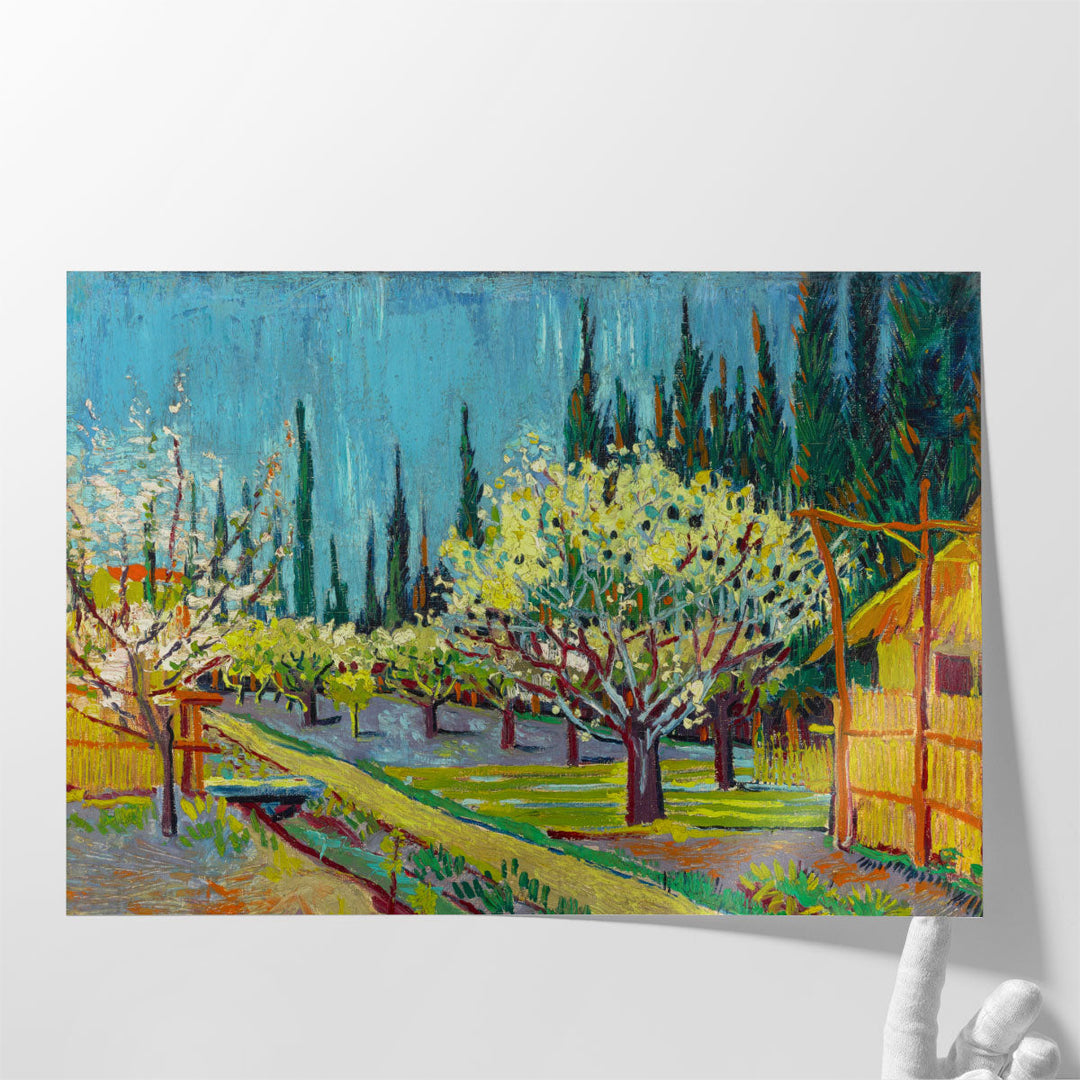 Orchard Bordered by Cypresses, 1888 - Canvas Print Wall Art