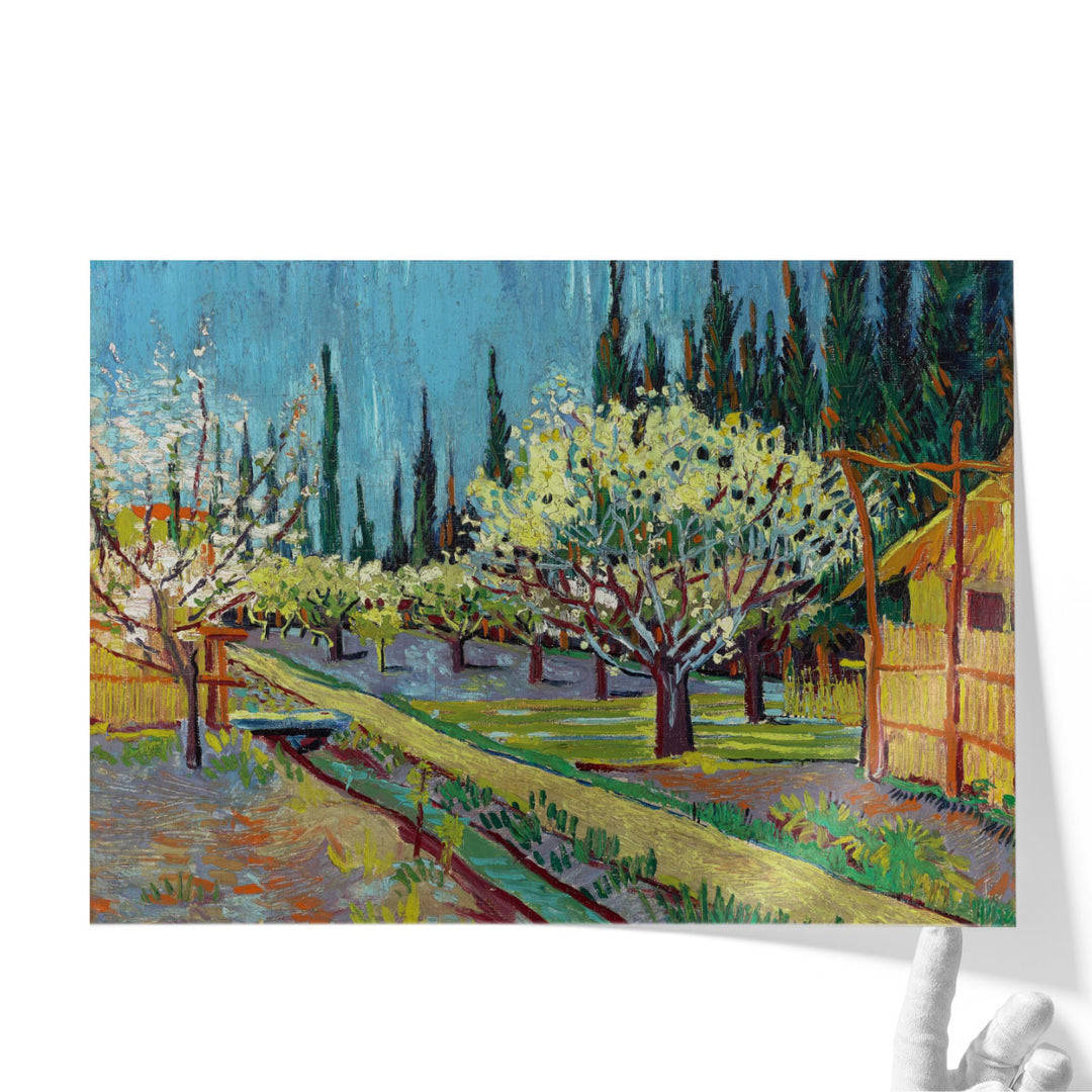 Orchard Bordered by Cypresses, 1888 - Canvas Print Wall Art