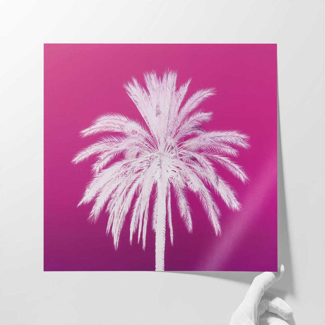 Palm Tree - Canvas Print Wall Art