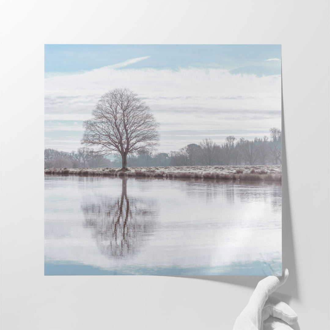 Reflection of a Tree in a Pond - Canvas Print Wall Art