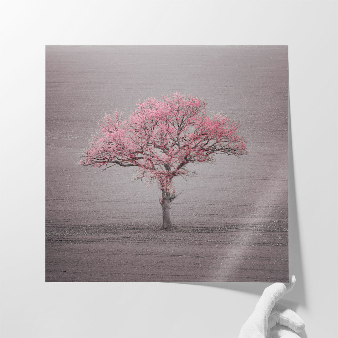 Single Tree in Foggy Grassfield - Canvas Print Wall Art