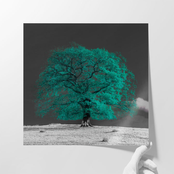 Tree on a Hill - Canvas Print Wall Art